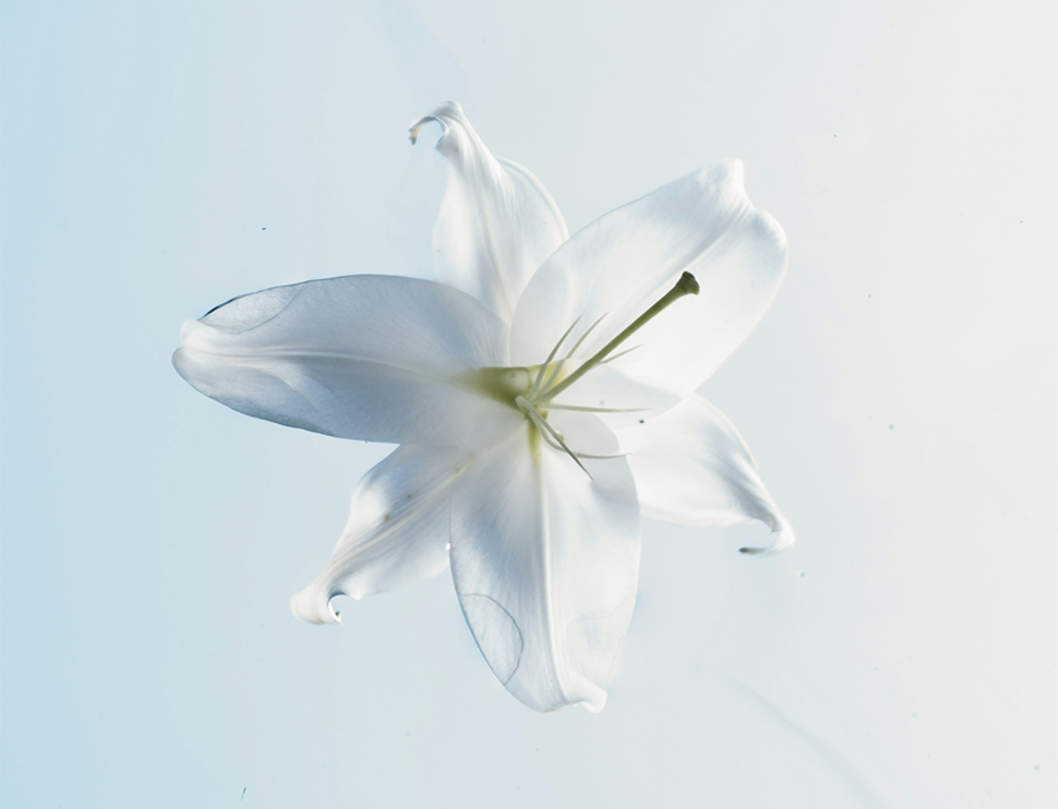 Suicide Cleanup Services in Arizona