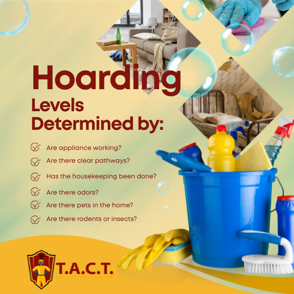 Hoarding Unveiled: A Deep Dive into the 5 Levels with TACT48